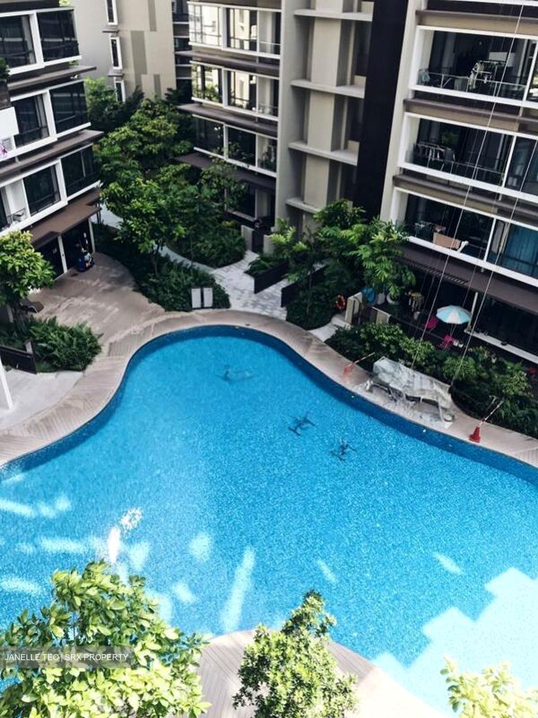 d'Nest (D18), Condominium #503249271